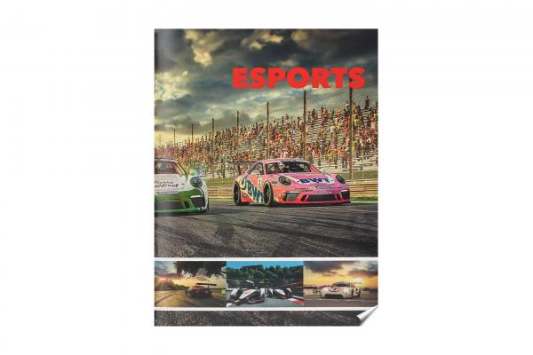 Buch Porsche Sport 2020 (Gruppe C Motorsport Verlag)